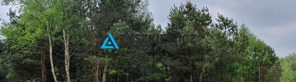 Smęgorzyno kokoszki działka budowlana