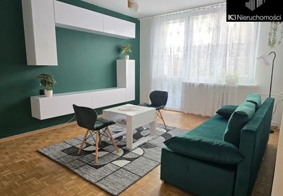 Tereny zielone | zajednia 100m | po odświeżeniu