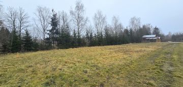 Blisko lasu, 1300m2, budowlana,chojnów,gm.piaseczo