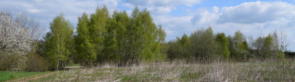 Działka rolno-budowlana 28a, chmielnik