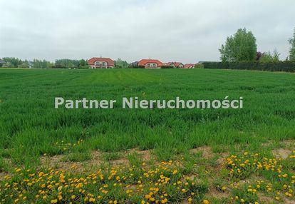 Najpiękniejsza działka różankowo - świerczyny!!!