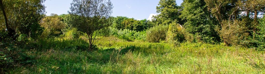Działka w cyk gmina szydłowo o pow. 1400 m2