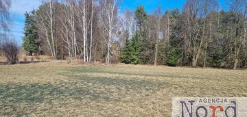 Działka z widokiem na las