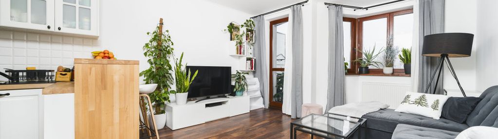 Przytulne 2 pokojowe na klinach