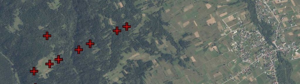 Pakiet działek rolno-leśnych w lipnicy wielkiej