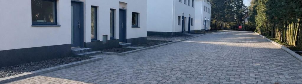 Ostatni bliźniak na sprzedaż