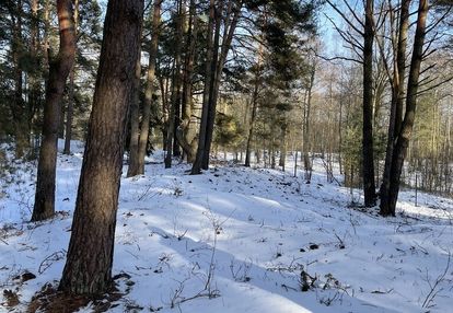 Działka budowlana w lesie, 1500 m² .