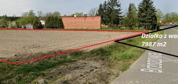 Działka rolna 79ar z wz okup wilki