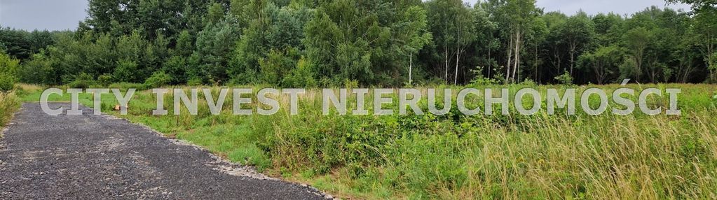 Działki budowlane w nowym kisielinie