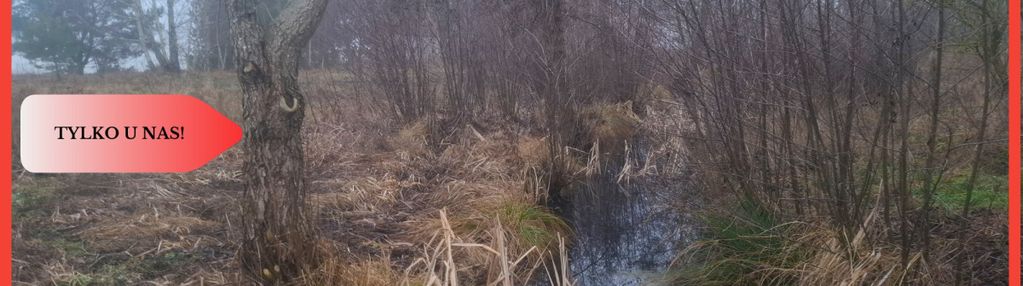 Tylko u nas !!! wsercu borów tucholskich