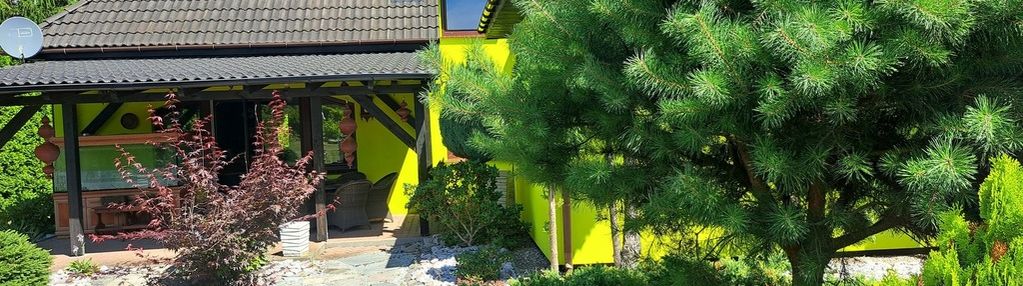 Borowa raków dom wolnostojący działka 3230m2