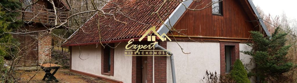 Sprzedam urokliwe siedlisko w środku lasu