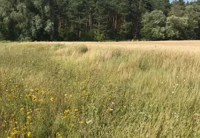 BEZPOŚREDNIO Kawalerka 4 Wieże os. Tysiąclecia