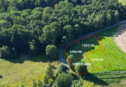 Malownicze pasieki, las, media i asfalt !