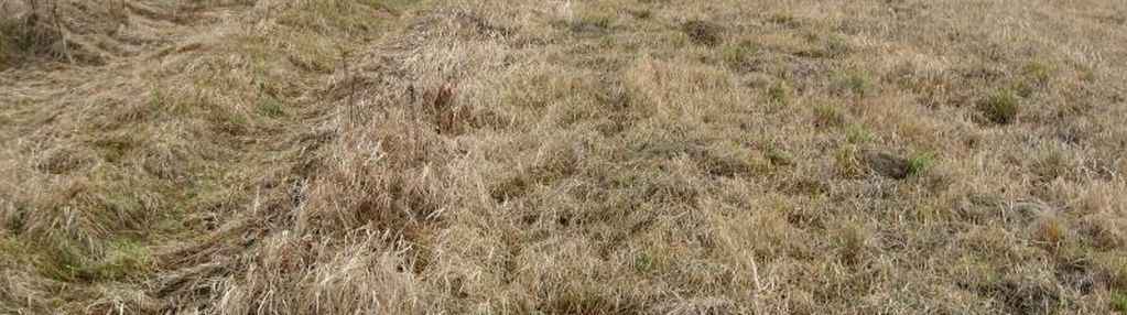 Działka rolno-rekreacyjna 9.94a, boguchwała