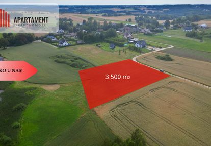 Działka 3500 m² w skrzydłowie, z warunkami zabudow