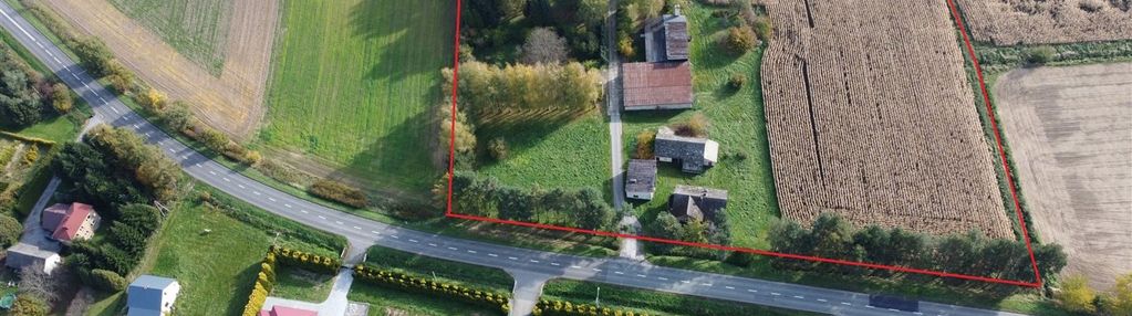 Domy i hale na działce 2,34 ha – pruchna