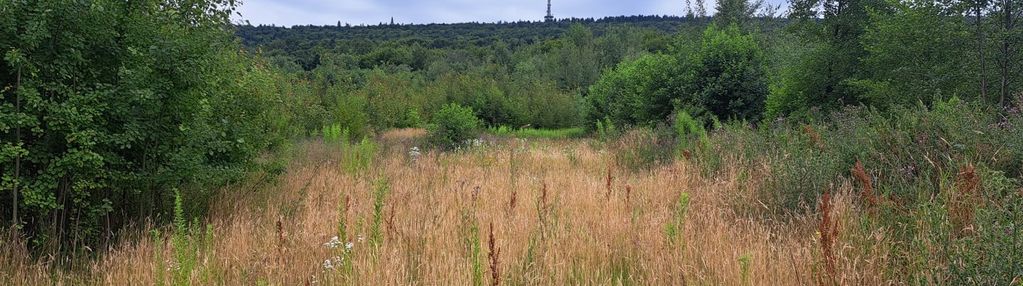 Dzialka - tylko 30min szlakiem na święty krzyż!