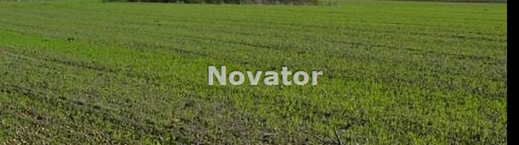 Kozielec - działka 3000 m2 z warunkami zabudowy!