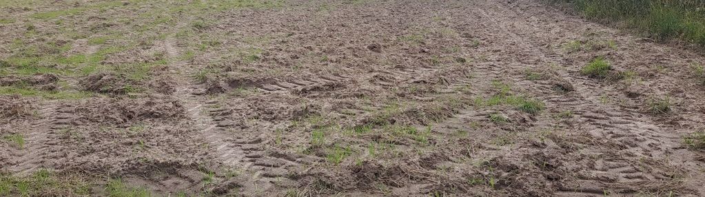 Działki w starym toruniu