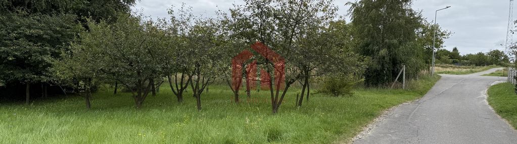 Woliczka 35 ar działa budowlana z własnym lasem