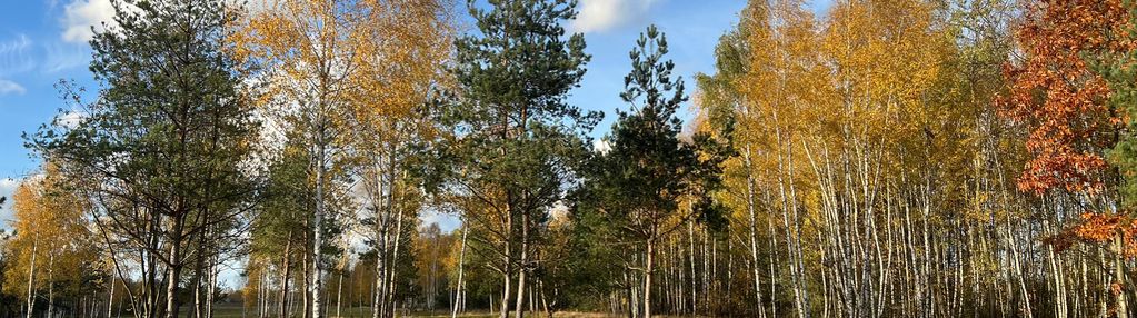 Działka budowlana nr 60/22 józefów gmina pniewy