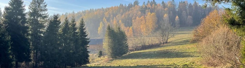 Widokowa, otoczona drzewami w malowniczej milówce!
