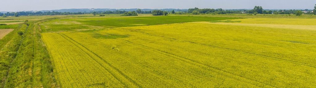 Działka rolna szczurowa- brzesko-małopolska