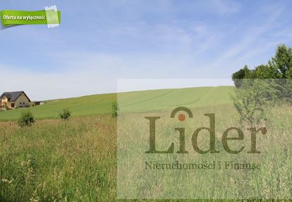 O % - kupujący nie płaci prowizji, prowizję biura