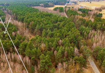 Działki rolne zalesione, szczerców