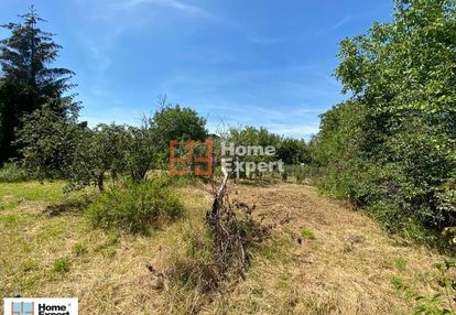 Okolice ul. niemkińskiej