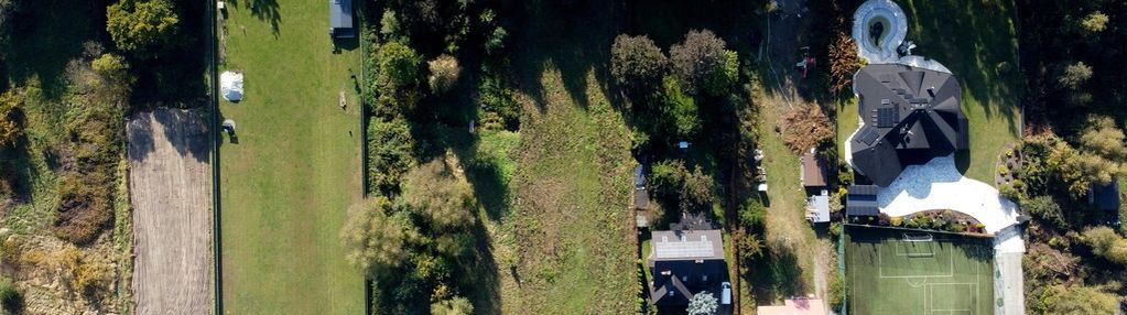 Mzpz, wszystkie media