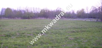 Dobra inwestycja # zieleń # spokój