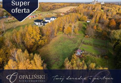 Kameralna okolica | krakowska | wz | zieleń