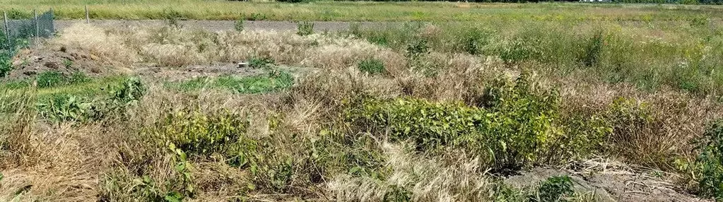 Działka na sprzedaż 1000m2