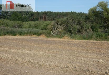 Działka bez sąsiedztwa blisko lasu i jeziora