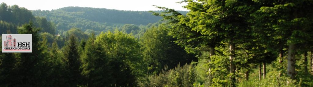 Widokowa, 1,4ha bud. z lasem, maków podhalański