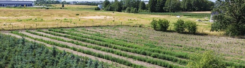 Działka budowlana 1215m2 mszczonów