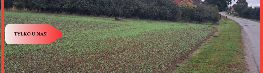 *duża działka w jadownikach rycerskich