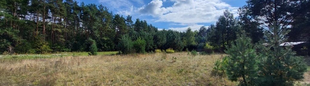 Działka w borach tucholskich - pruskie