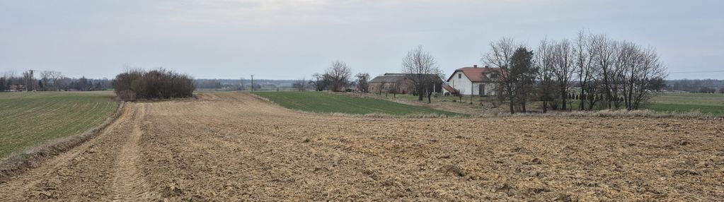 Działka zagrodowo blisko milejowa