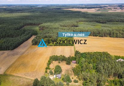 Działka w sercu lasu - cisza i spokój