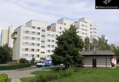 3 lub 4 pokoje / doskonałe pod wynajem