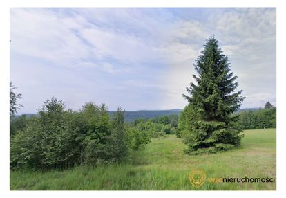 7497 m² | chocieszów | mpzp | 399 000