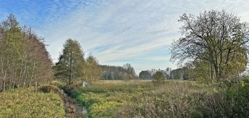 Na sprzedaż łąka w baldwinowicach.