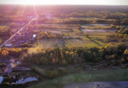 7 działek 10-12 ar z pięknym drzewostanem | bukowa