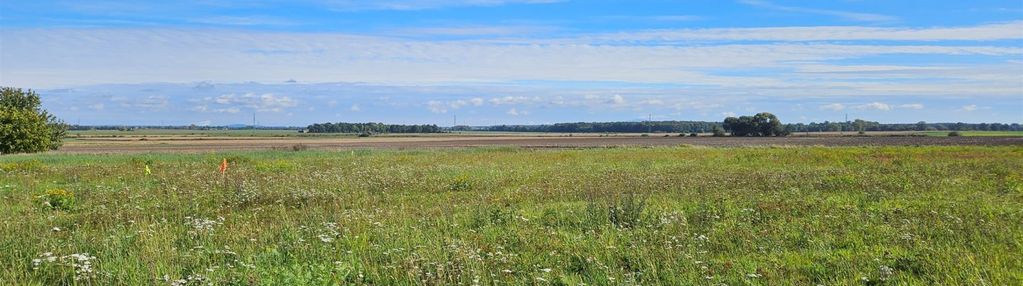 Działka budowlana w szymanowie