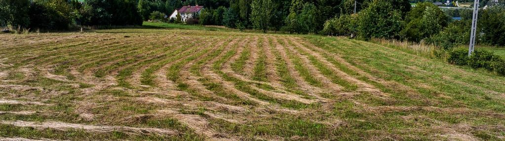 Działka widokowa koło lasu