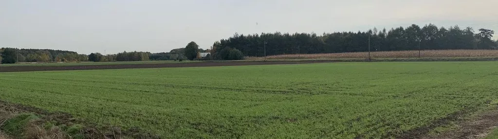 Działka na sprzedaż 1000m2