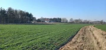 Działka na sprzedaż 1000m2